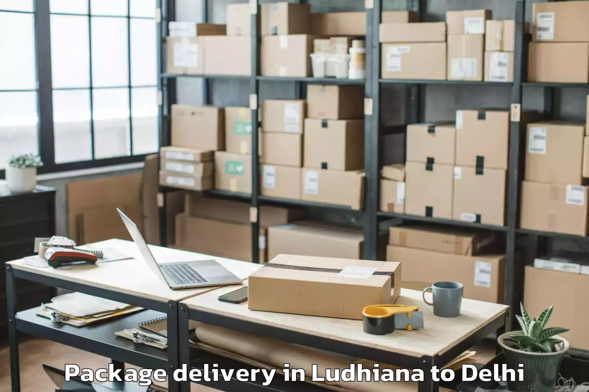 Reliable Ludhiana to Unity One Mall Cbd Shahdara Package Delivery